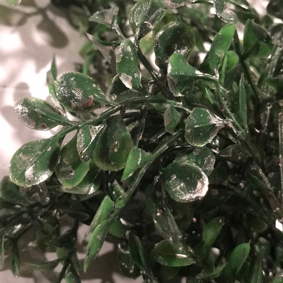 Ashland Christmas Artificial Boxwood Green Bush - Picture 2 of 7